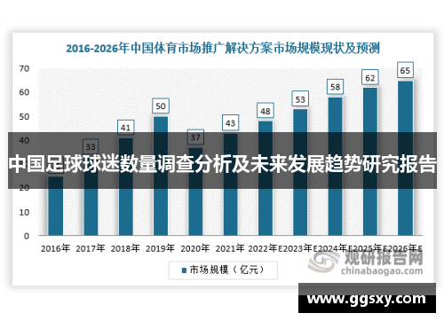 中国足球球迷数量调查分析及未来发展趋势研究报告