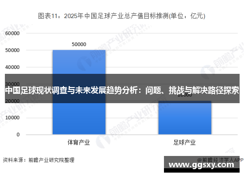 中国足球现状调查与未来发展趋势分析：问题、挑战与解决路径探索